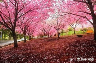 http://sswww.4000500521.com//upimg/seot/t20161219142324159.jpg