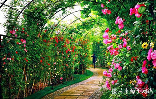 http://sswww.4000500521.com//upimg/seot/t20161219154823264.jpg