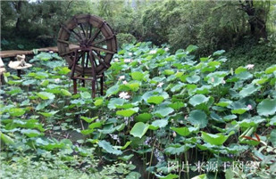 http://sswww.4000500521.com//upimg/seot/t20170725135404777.jpg