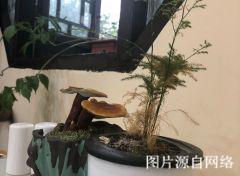 http://sswww.4000500521.com//upimg/seot/t20190701173553213.jpg
