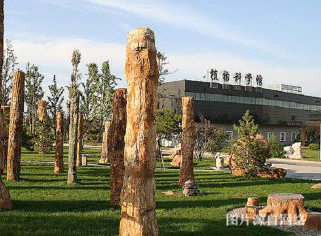 http://sswww.4000500521.com//upimg/seot/t20190702164554230.jpg